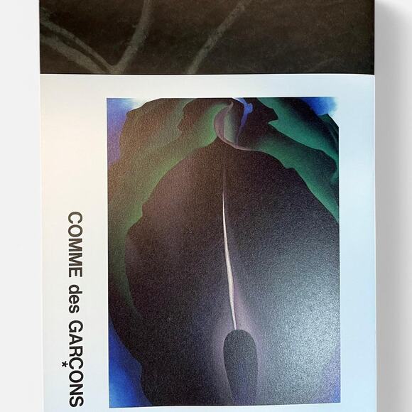 Comme des Garçon GEORGIA O'KEEFFE art photo Book collection - Picture 1 of 4